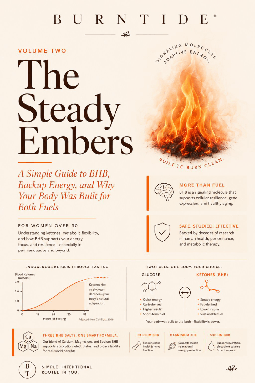 Burntide-Bonus-2-The Steady Embers